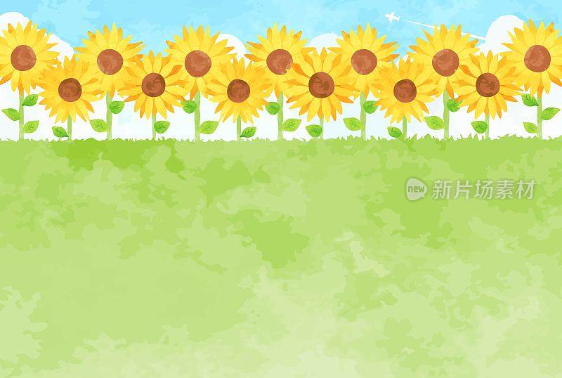 beautiful　watercolor　sunflower　background　illustration　64